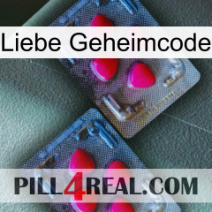 Love Secret Code 14